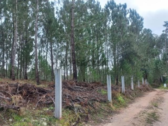 Terreno, terreno para construção