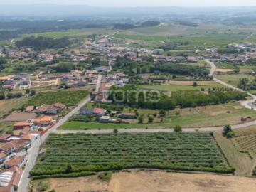 Terreno Terreno Urbanizável com Pomar Kiwis e Poço Paredes do Bairro