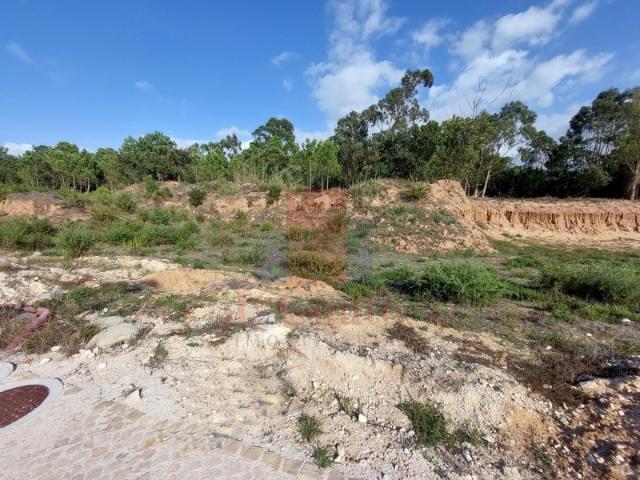 Terreno tipo quintinha, Caldas da Rainha