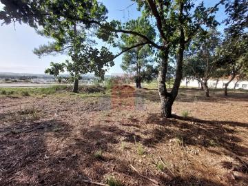 Terreno tipo quintinha, Caldas da Rainha