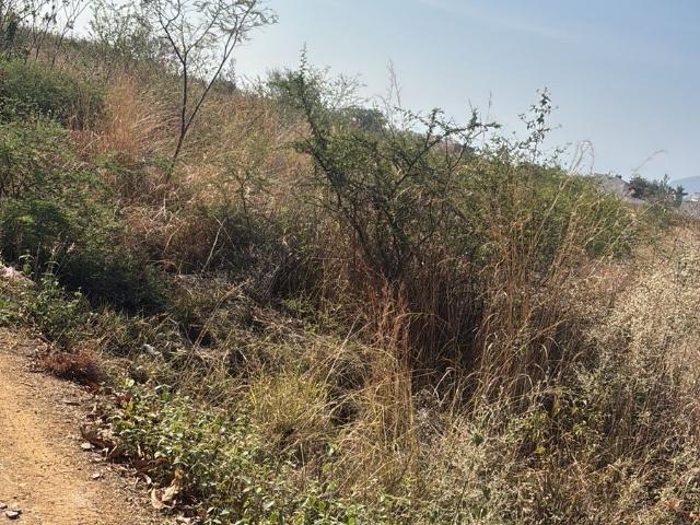 Terreno Tlalixtac de Cabrera