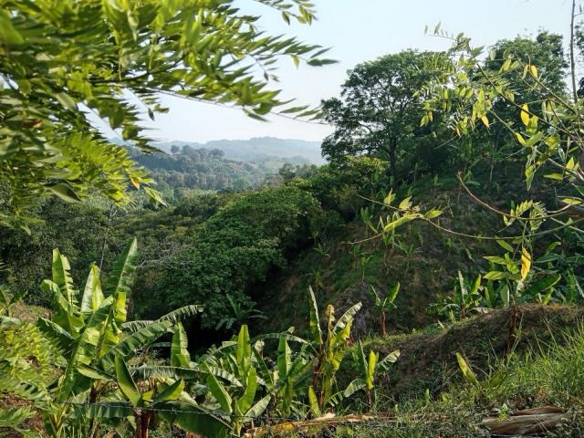 Terreno Tlapacoyan