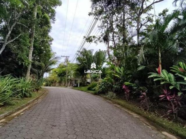 Terreno Toninhas