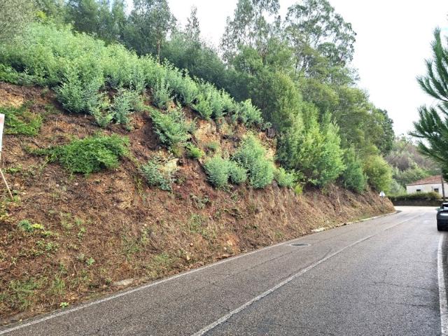 TERRENO TORRES DO MONDEGO