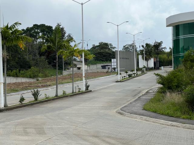 Terreno Tres Pasos