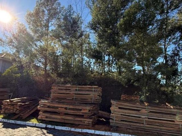Terreno, Triângulo, Carlos Barbosa, RS