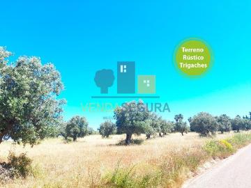 Terreno | Trigaches