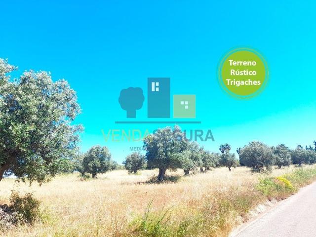 Terreno | Trigaches