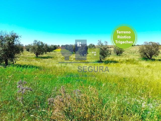 Terreno | Trigaches