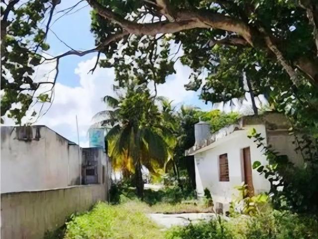 TERRENO UBICADO EN EL PUERTO CHELEM