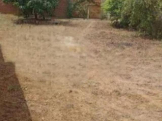 Terreno único na Rua 300m² plano Localização Excelente