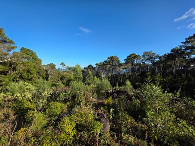 Moradia para recuperar no Mistério da Silveira, na ilha do Pico