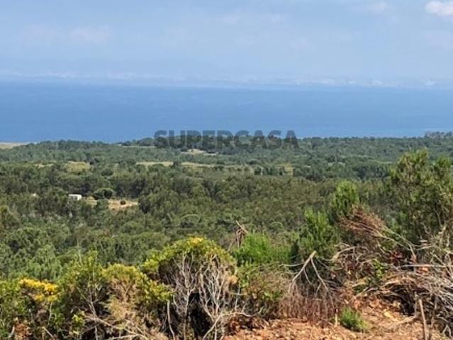 Terreno único em Casal do Rei com PIP aprovado