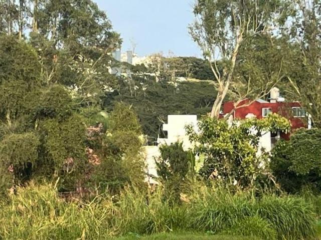 Terreno Unidad habitacional Del Valle