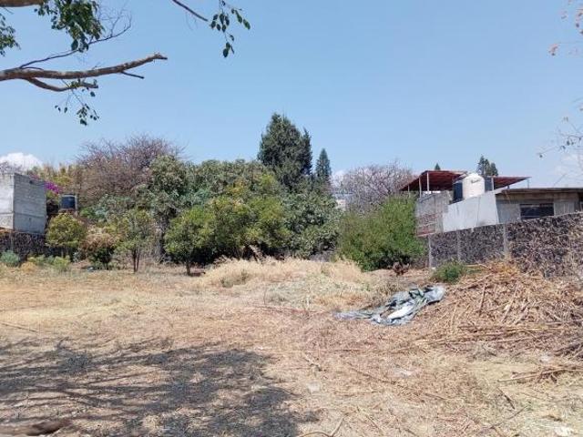 Terreno Universidad