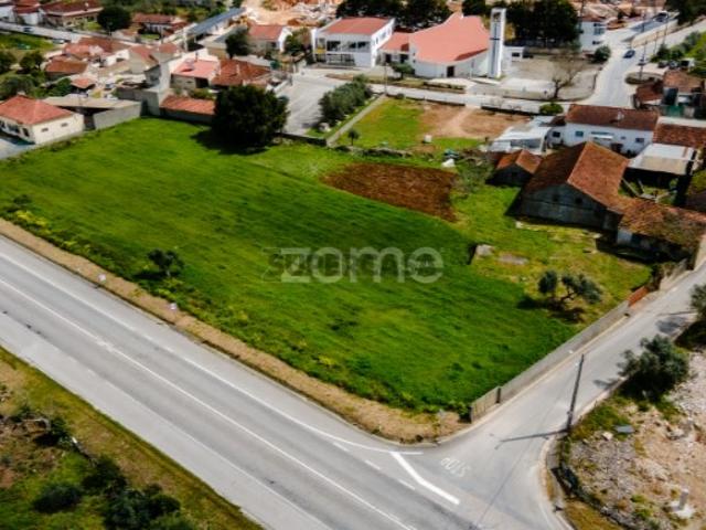 Terreno Urbanizável Moleanos Alcobaça