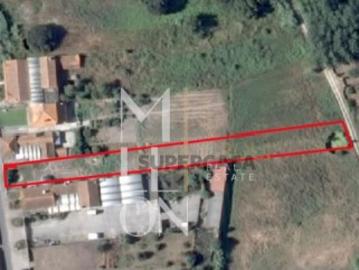 Terreno urbanizável na Rua da Rainha, em Bustos, concelho de Oliveira do Bairro