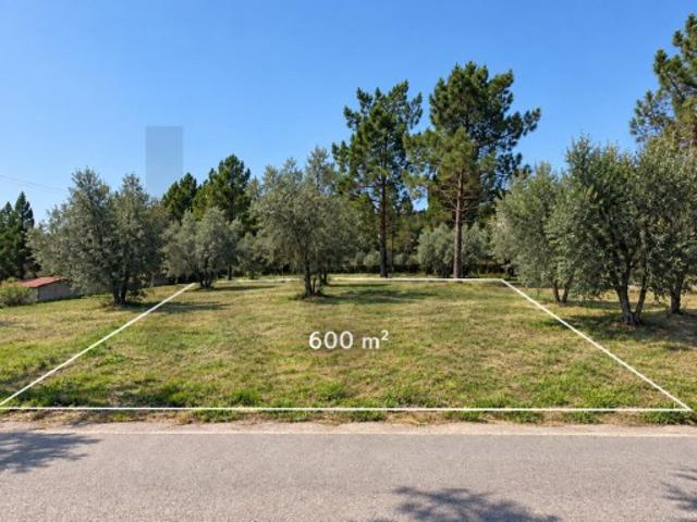 Terreno Urbanizável na Ribeira da Mata, Figueiró do Campo, Soure