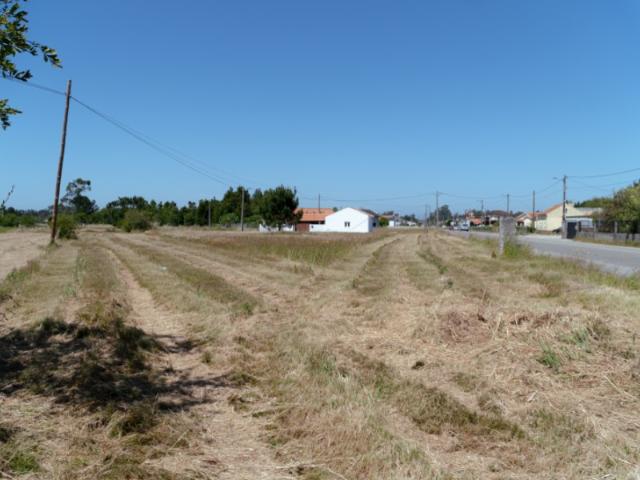 Terreno urbanizavel na Saibreira, Quiaios
