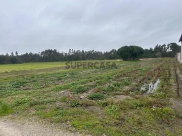 Terreno urbanizável nas Berlengas