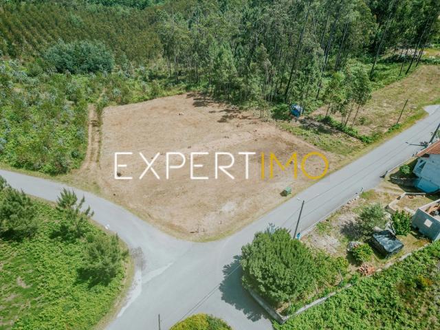 Terreno Urbanizável no Carapinhal, Mortágua