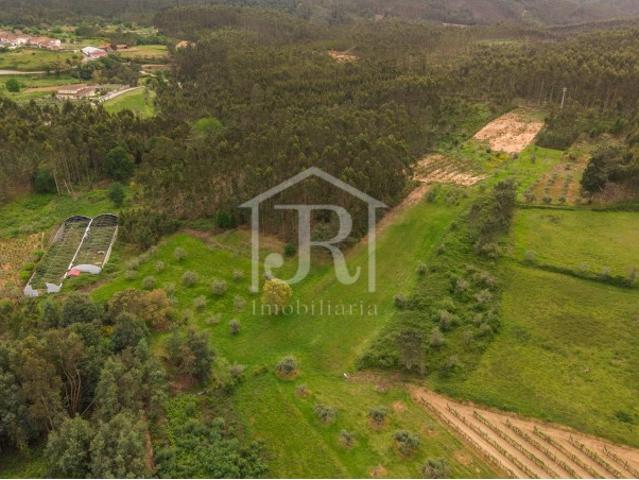 Terreno Urbanizável a 20min de Coimbra/3287m2/perto do IP3/ Alto potencial