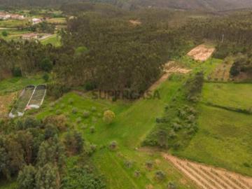 Terreno Urbanizável a 20min de Coimbra/3287m2/perto do IP3/ Alto potencial