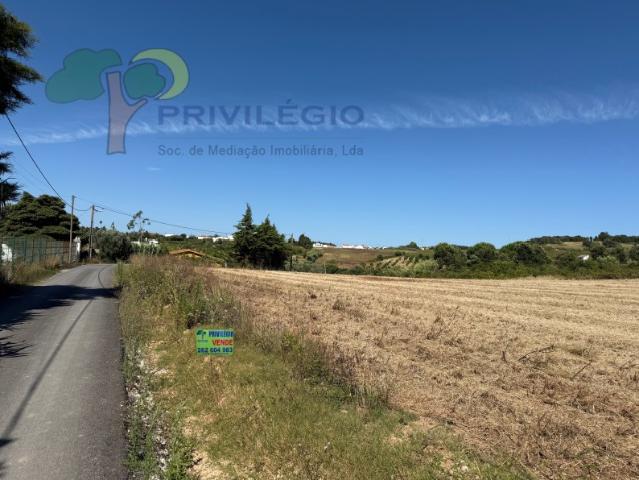 Terreno Urbanizável Carvalhal_ Bombarral