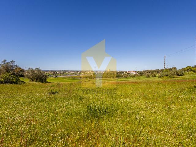 Terreno Urbanizável com 41.160 m² Grainho, Santarém