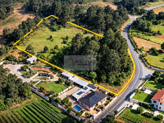 Terreno Urbanizável com 4.600m² em Zona Tranquila