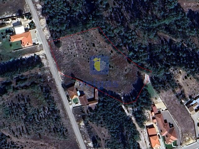 Terreno urbanizável com 6.871m² no Coimbrão, Leiria, próximo de praias