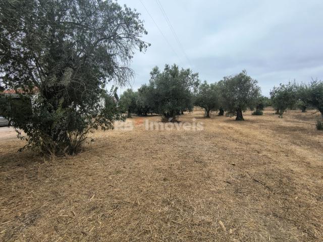 Terreno urbanizável com 960m2 Delongo, Tomar