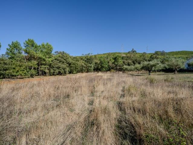 Terreno urbanizável com 1650 m2