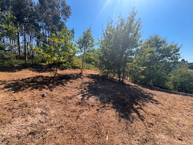 Terreno urbanizável com 1.200 m² em Souto e Tabaçô