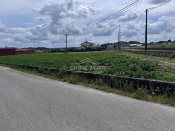Terreno Urbanizável com 3100m² à Venda | 79.000€