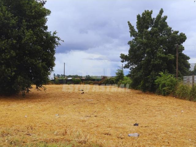 Terreno Urbanizável com 3.200 m² | Excelente Oportunidade em Lordelo