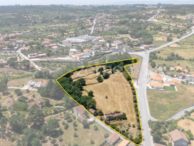 Terreno com Potencial Turístico na Região Demarcada do Dão