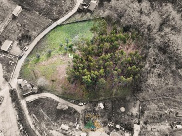 Terreno Urbanizável Couto