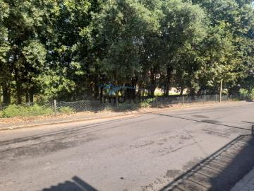 Terreno Urbanizável de 1460 m2 em Santiago de Riba Ul