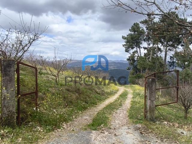 Terreno Urbano de 7959 m² com Armazém
