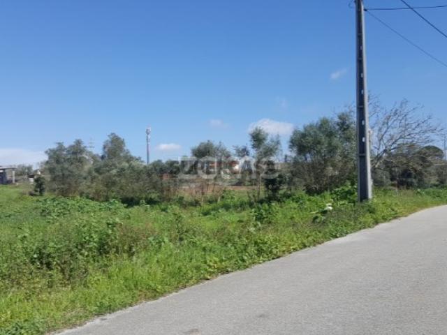 Terreno urbanizável em Milagres