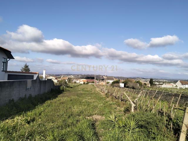Terreno Urbanizável em Aveiro Projeto aprovado