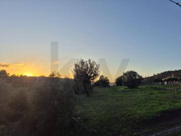Assafarge, Assafarge e Antanhol, Coimbra, Distrito de Coimbra