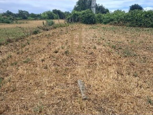 TERRENO URBANIZÁVEL EM CACIA AVEIRO | 14.598,50 m² | 75 m DE FRENTE
