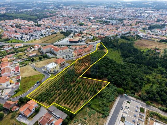 Terreno Urbanizável em Caldas da Rainha