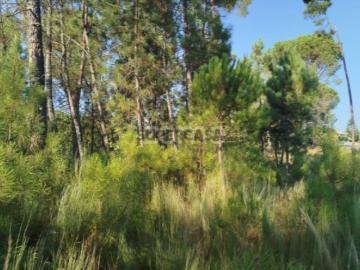Terreno Urbanizável em Casal Mundinho Um Refúgio Tranquilidade
