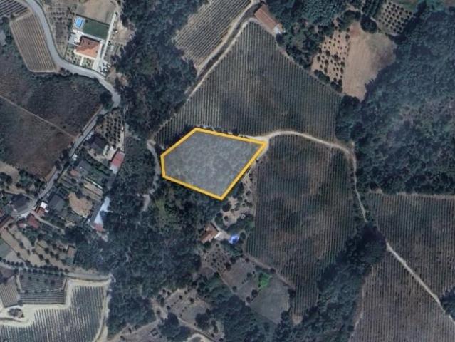 Terreno Urbanizável em Povolide