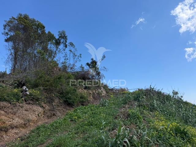 Terreno Urbanizável em São João Ribeira Brava