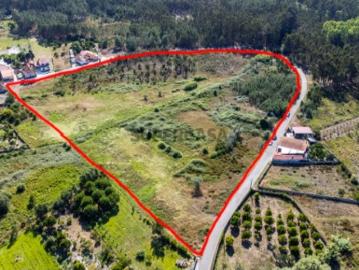 Terreno urbanizável, em Cantanhede