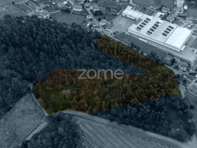 Terreno Urbanizável para venda / Permuta em Santo Tirso
